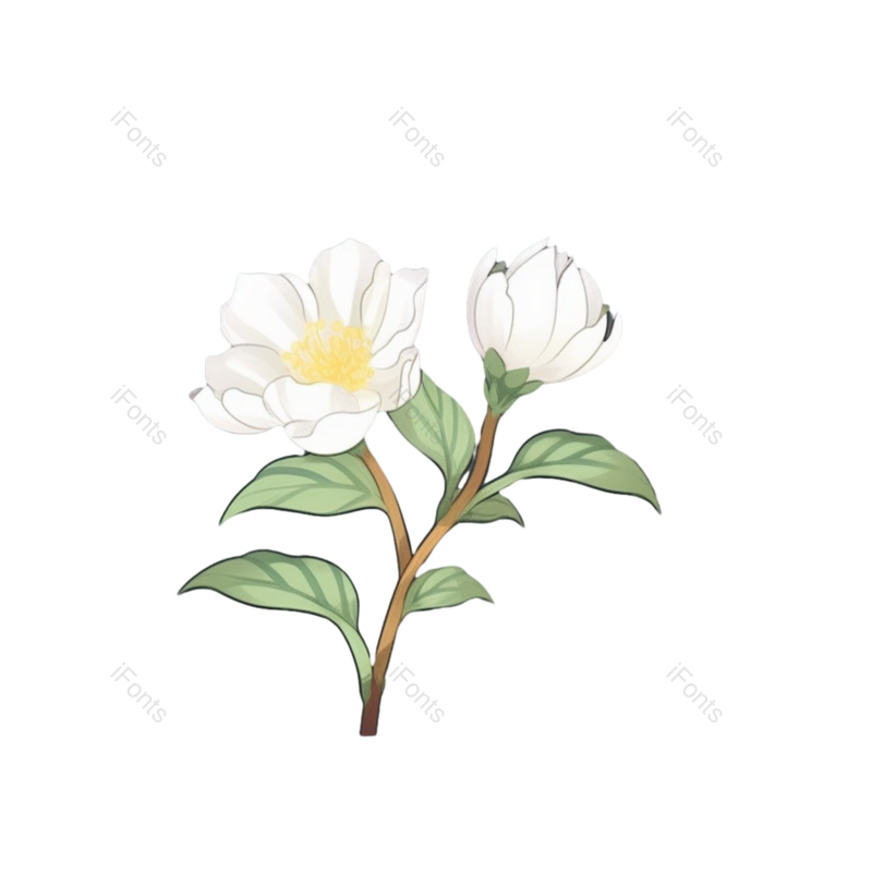 蓝色背景图片,白色的花元素,灰色背景PNG,植物免抠素材